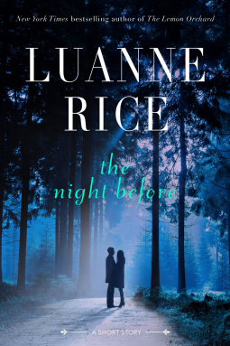 book cover for The Night Before