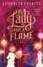 Cover Image: The Lady Sparks a Flame