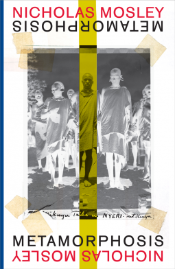 book cover for Metamorphosis