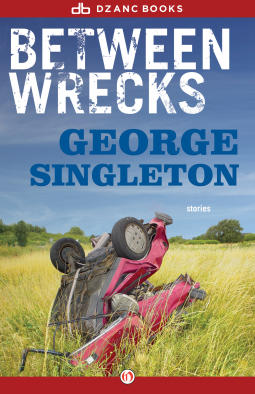 book cover for Between Wrecks