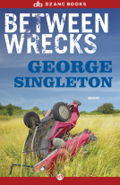 book cover for Between Wrecks