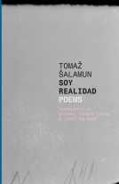 book cover for Soy Realidad