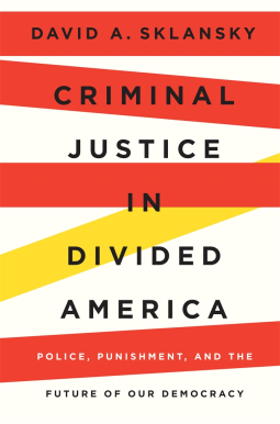 book cover for Criminal Justice in Divided America