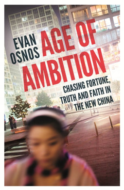 book cover for Age of Ambition