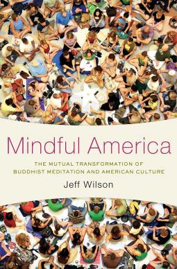 book cover for Mindful America