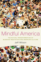 book cover for Mindful America