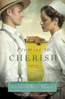 book cover for Promise to Cherish