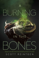 book cover for A Burning in the Bones