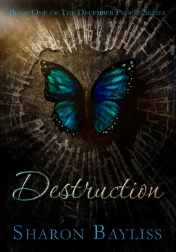 book cover for Destruction