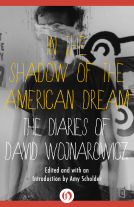 book cover for In the Shadow of the American Dream