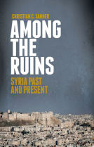 book cover for Among the Ruins