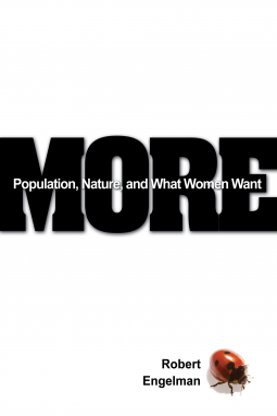 book cover for More