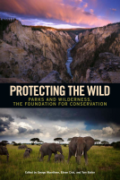 book cover for Protecting the Wild