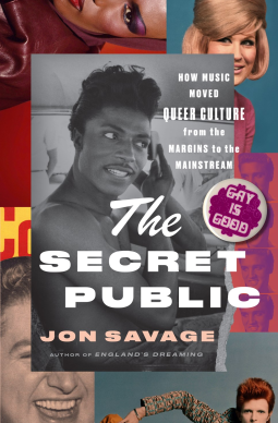 book cover for The Secret Public