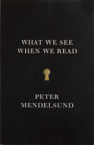 book cover for What We See When We Read
