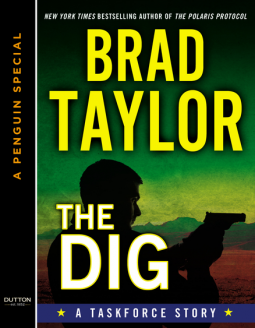 book cover for The Dig