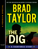 book cover for The Dig
