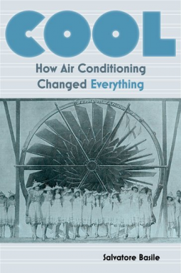 book cover for Cool