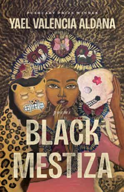 book cover for Black Mestiza