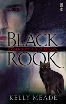 book cover for Black Rook