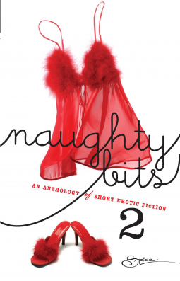 book cover for Naughty Bits 2 An Anthology of Short Erotic
