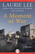 book cover for A Moment of War