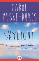book cover for Skylight