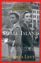 book cover for Small Island