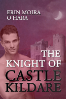 book cover for The Knight of Castle Kildare