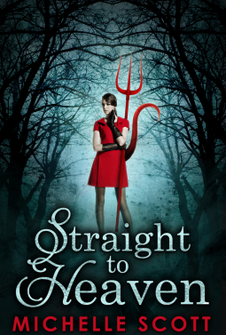 book cover for Straight To Heaven