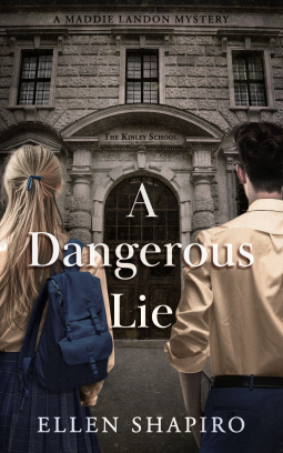 book cover for A Dangerous Lie
