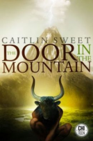 book cover for The Door in the Mountain