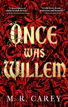 book cover for Once Was Willem