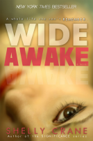 book cover for Wide Awake