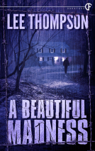 book cover for A Beautiful Madness