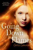 book cover for Going Down in Flames