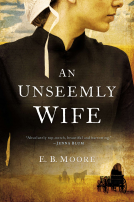 book cover for An Unseemly Wife