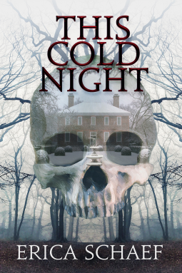 book cover for This Cold Night