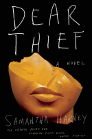 book cover for Dear Thief