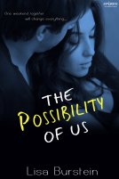 book cover for The Possibility of Us