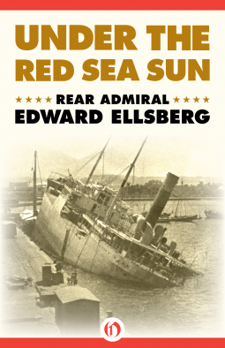 book cover for Under the Red Sea Sun