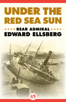 book cover for Under the Red Sea Sun