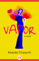 book cover for Vapor