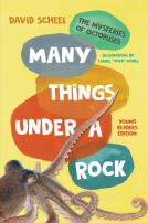 book cover for Many Things Under a Rock, Young Readers Edition