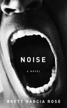 book cover for Noise