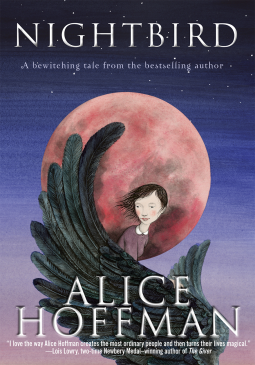 book cover for Nightbird