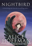 book cover for Nightbird