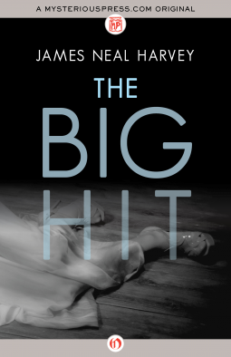 book cover for The Big Hit