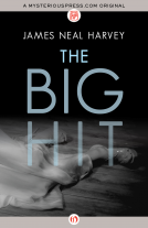 book cover for The Big Hit