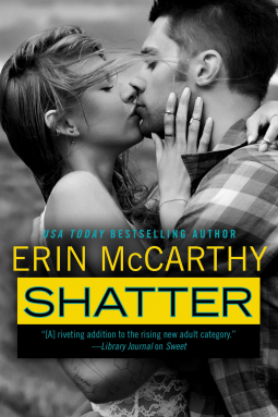 book cover for Shatter